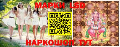 крисы Новокубанск