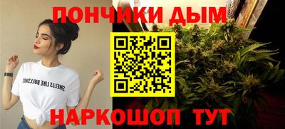 крисы Новокубанск