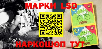 хмурый Новозыбков