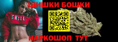 крисы Новокубанск