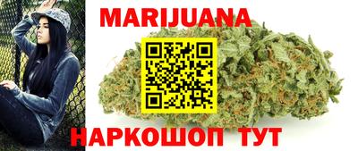 крисы Новокубанск
