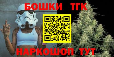 крисы Новокубанск