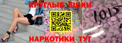крисы Новокубанск