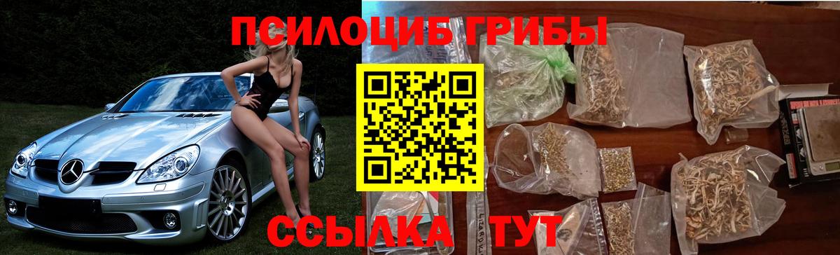 Псилоцибиновые грибы MAGIC MUSHROOMS  Вход с VPN  Шахты 
